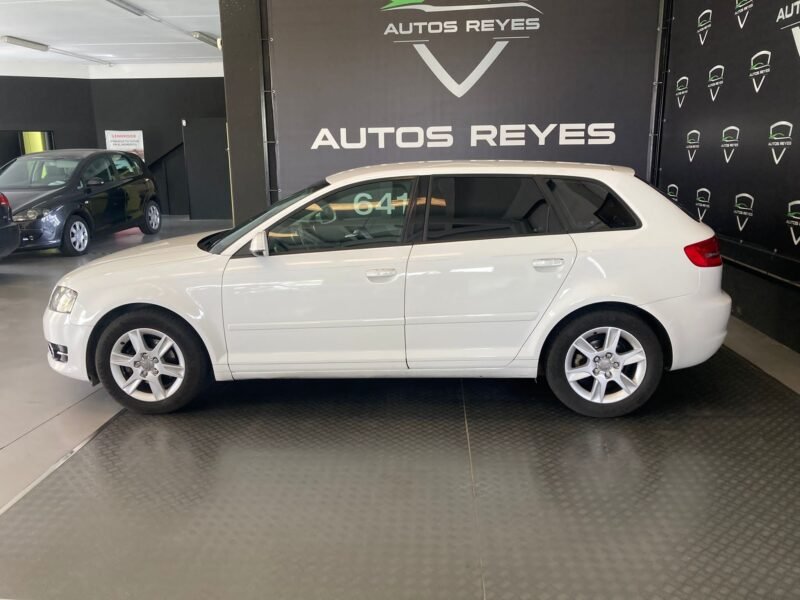 AUDI Q5 2.0 TDI 120kw 163cv QUATTRO S Tronic 5p
